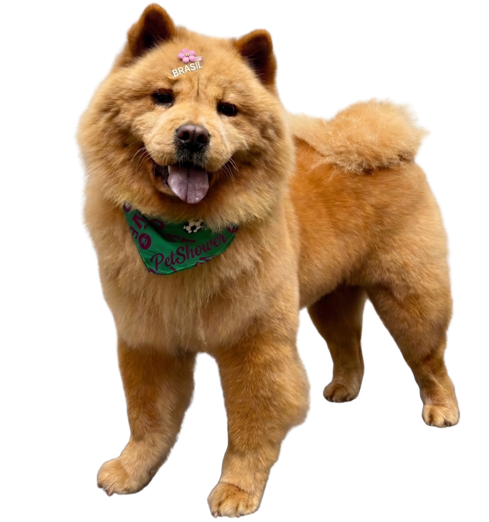 Gemi